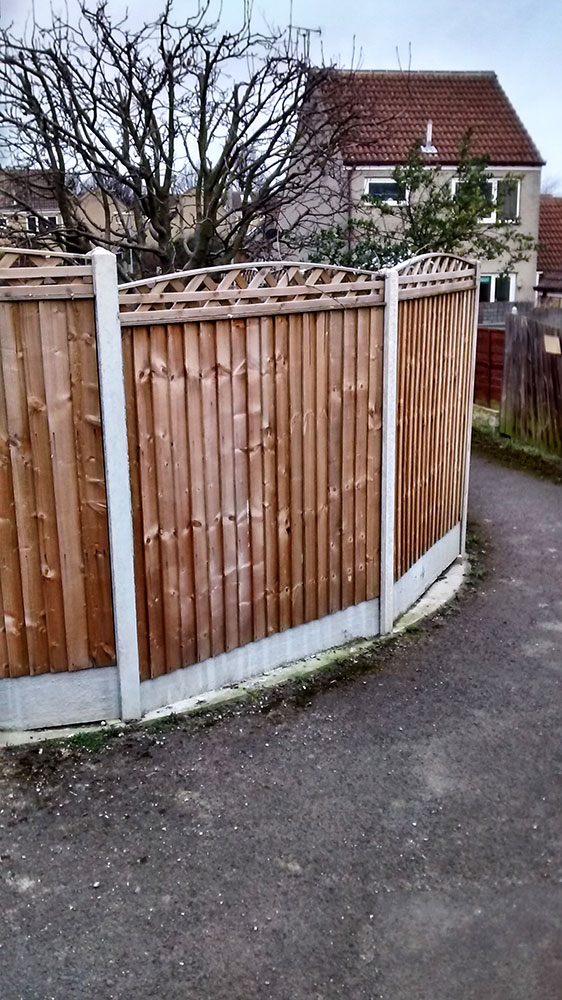 Paul Allen Ground Works